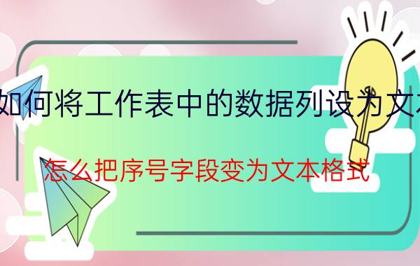 如何将工作表中的数据列设为文本 怎么把序号字段变为文本格式？